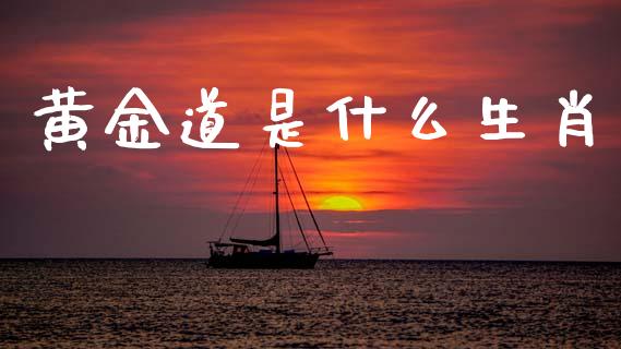 黄金道是什么生肖_https://www.lcjysmgs.com_黄金期货直播喊单_第1张