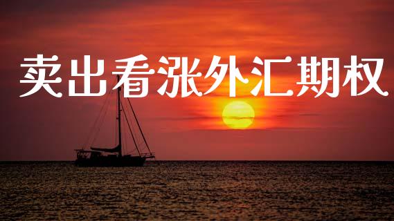 卖出看涨外汇期权_https://www.lcjysmgs.com_黄金期货直播喊单_第1张