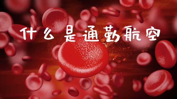 什么是通勤航空_https://www.lcjysmgs.com_德指行情直播_第1张