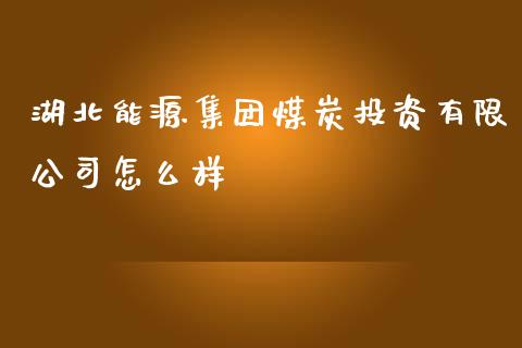 湖北能源集团煤炭投资有限公司怎么样_https://www.lcjysmgs.com_德指行情直播_第1张