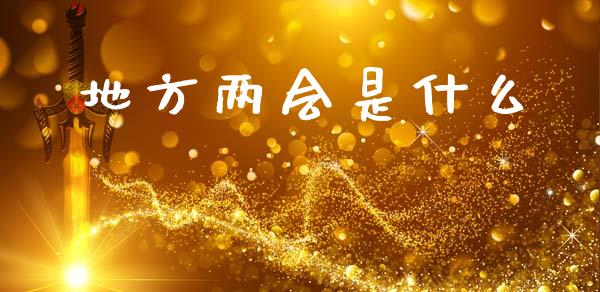 地方两会是什么_https://www.lcjysmgs.com_黄金期货直播喊单_第1张