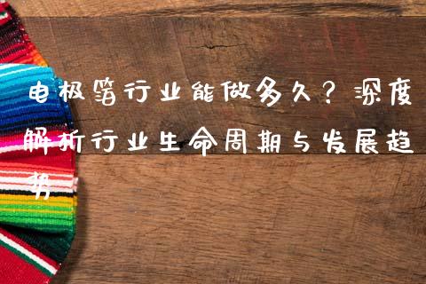 电极箔行业能做多久？深度解析行业生命周期与发展趋势_https://www.lcjysmgs.com_德指行情直播_第1张