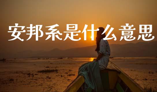 安邦系是什么意思_https://www.lcjysmgs.com_恒生指数直播_第1张