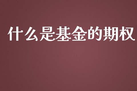 什么是基金的期权_https://www.lcjysmgs.com_黄金期货直播喊单_第1张