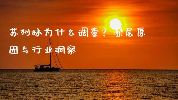 苏树林为什么调查？深层原因与行业洞察_https://www.lcjysmgs.com_德指行情直播_第1张