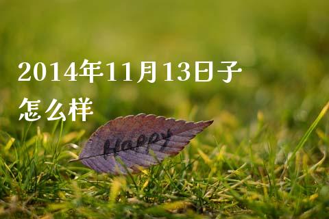 2014年11月13日子怎么样_https://www.lcjysmgs.com_恒生指数直播_第1张