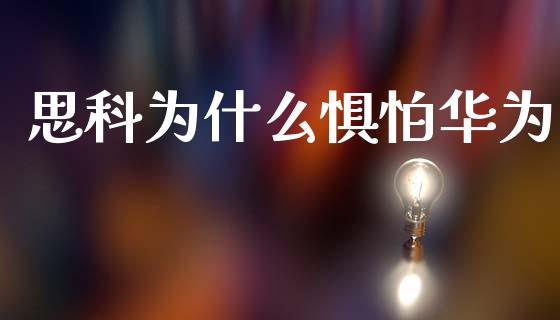 思科为什么惧怕华为_https://www.lcjysmgs.com_德指行情直播_第1张