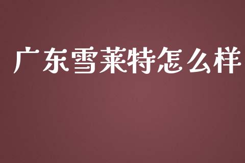 广东雪莱特怎么样_https://www.lcjysmgs.com_德指行情直播_第1张