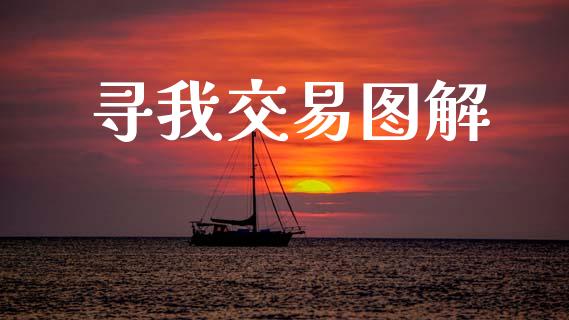 寻我交易图解_https://www.lcjysmgs.com_德指行情直播_第1张