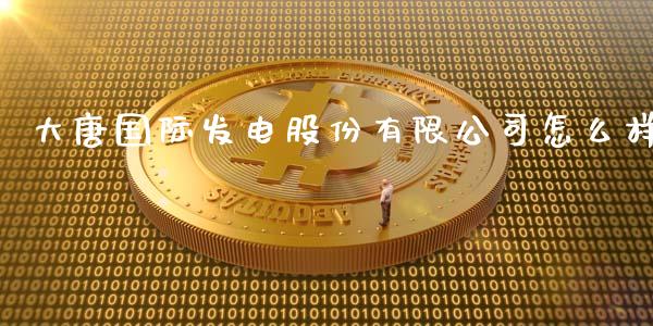 大唐国际发电股份有限公司怎么样_https://www.lcjysmgs.com_恒生指数直播_第1张