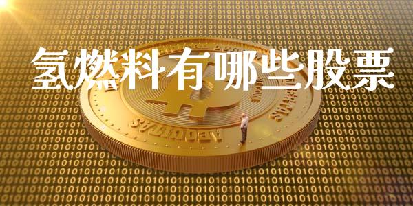 氢燃料有哪些股票_https://www.lcjysmgs.com_恒生指数直播_第1张