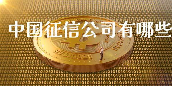 中国征信公司有哪些_https://www.lcjysmgs.com_德指行情直播_第1张
