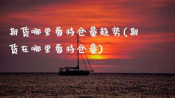 期货哪里看持仓量趋势(期货在哪里看持仓量)_https://www.lcjysmgs.com_德指行情直播_第1张