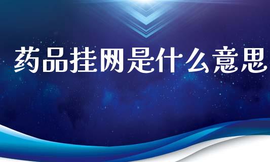 药品挂网是什么意思_https://www.lcjysmgs.com_黄金期货直播喊单_第1张