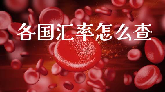 各国汇率怎么查_https://www.lcjysmgs.com_恒生指数直播_第1张