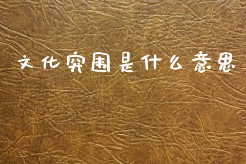 文化突围是什么意思_https://www.lcjysmgs.com_德指行情直播_第1张