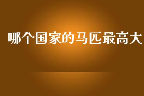 哪个国家的马匹最高大_https://www.lcjysmgs.com_恒指直播平台_第1张