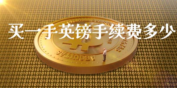 买一手英镑手续费多少_https://www.lcjysmgs.com_德指行情直播_第1张