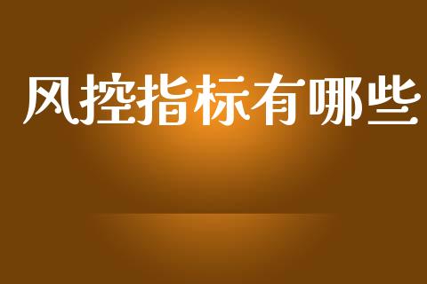 风控指标有哪些_https://www.lcjysmgs.com_恒指直播平台_第1张
