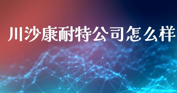 川沙康耐特公司怎么样_https://www.lcjysmgs.com_德指行情直播_第1张