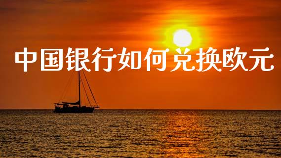 中国银行如何兑换欧元_https://www.lcjysmgs.com_恒指直播平台_第1张