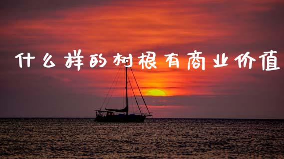 什么样的树根有商业价值_https://www.lcjysmgs.com_德指行情直播_第1张