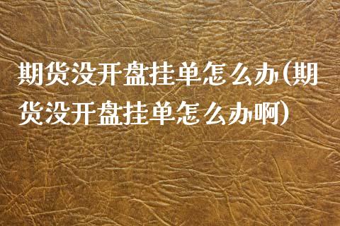 期货没开盘挂单怎么办(期货没开盘挂单怎么办啊)_https://www.lcjysmgs.com_黄金期货直播喊单_第1张