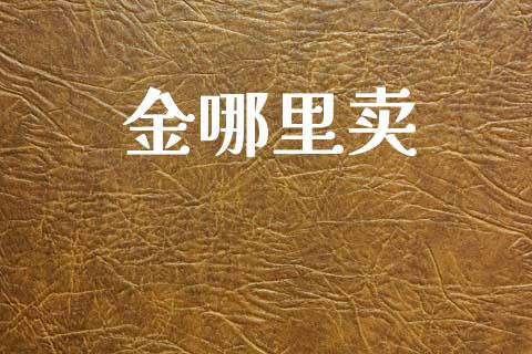金哪里卖_https://www.lcjysmgs.com_恒指直播平台_第1张
