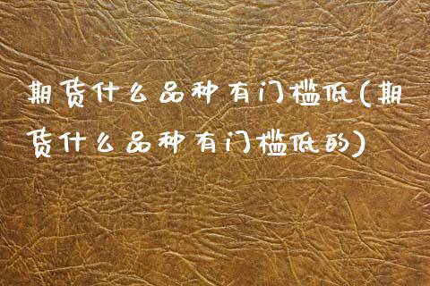 期货什么品种有门槛低(期货什么品种有门槛低的)_https://www.lcjysmgs.com_恒指直播平台_第1张