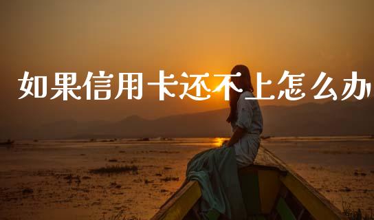 如果信用卡还不上怎么办_https://www.lcjysmgs.com_恒生指数直播_第1张