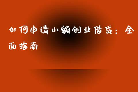 如何申请小额创业借贷：全面指南_https://www.lcjysmgs.com_恒生指数直播_第1张