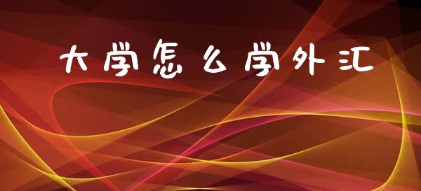 大学怎么学外汇_https://www.lcjysmgs.com_恒生指数直播_第1张