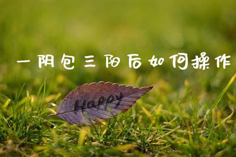 一阴包三阳后如何操作_https://www.lcjysmgs.com_恒指直播平台_第1张