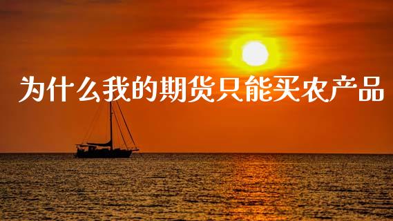 为什么我的期货只能买农产品_https://www.lcjysmgs.com_黄金期货直播喊单_第1张