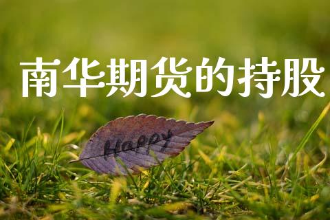 南华期货的持股_https://www.lcjysmgs.com_恒生指数直播_第1张