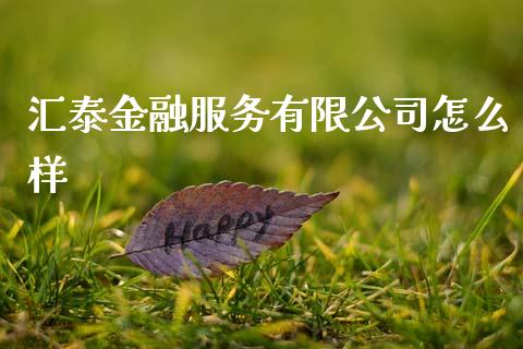 汇泰金融服务有限公司怎么样_https://www.lcjysmgs.com_恒生指数直播_第1张