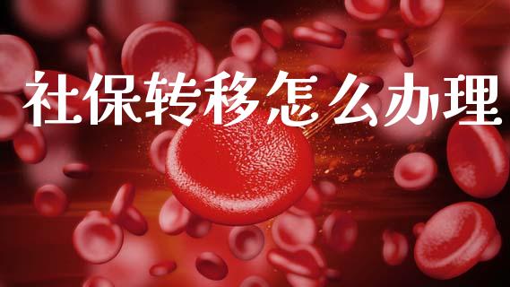 社保转移怎么办理_https://www.lcjysmgs.com_恒指直播平台_第1张
