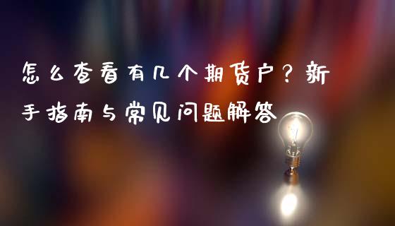 怎么查看有几个期货户？新手指南与常见问题解答_https://www.lcjysmgs.com_恒生指数直播_第1张