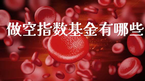 做空指数基金有哪些_https://www.lcjysmgs.com_恒生指数直播_第1张