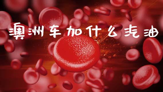 澳洲车加什么汽油_https://www.lcjysmgs.com_黄金期货直播喊单_第1张