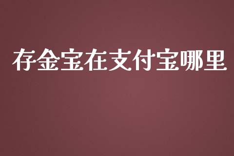 存金宝在支付宝哪里_https://www.lcjysmgs.com_恒指直播平台_第1张