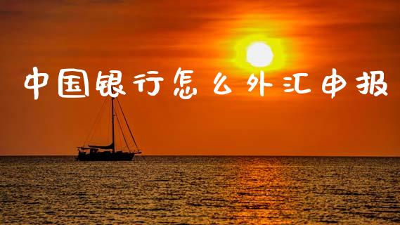中国银行怎么外汇申报_https://www.lcjysmgs.com_恒指直播平台_第1张