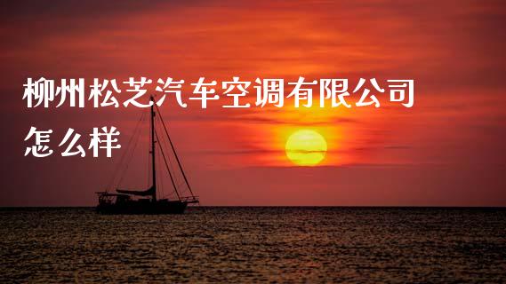 柳州松芝汽车空调有限公司怎么样_https://www.lcjysmgs.com_黄金期货直播喊单_第1张