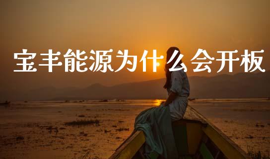 宝丰能源为什么会开板_https://www.lcjysmgs.com_黄金期货直播喊单_第1张