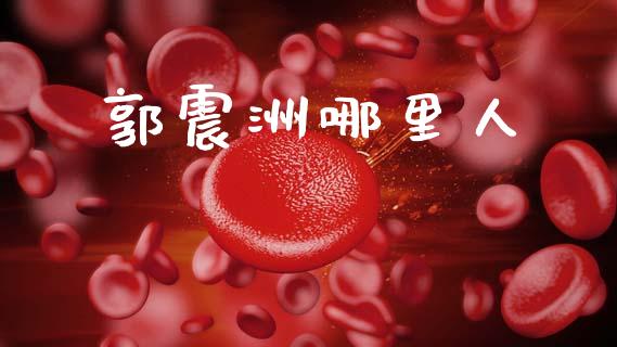 郭震洲哪里人_https://www.lcjysmgs.com_恒指直播平台_第1张