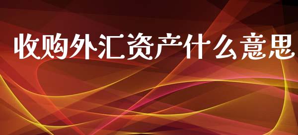 收购外汇资产什么意思_https://www.lcjysmgs.com_黄金期货直播喊单_第1张