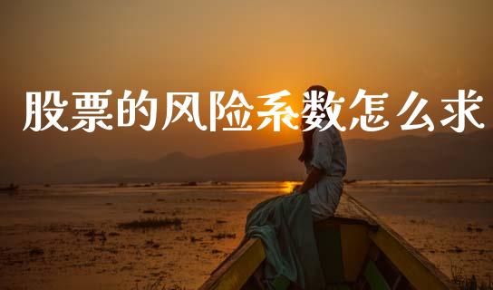 股票的风险系数怎么求_https://www.lcjysmgs.com_黄金期货直播喊单_第1张