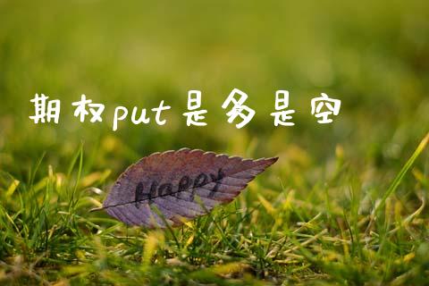 期权put是多是空_https://www.lcjysmgs.com_恒生指数直播_第1张