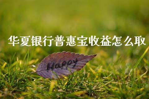 华夏银行普惠宝收益怎么取_https://www.lcjysmgs.com_恒指直播平台_第1张