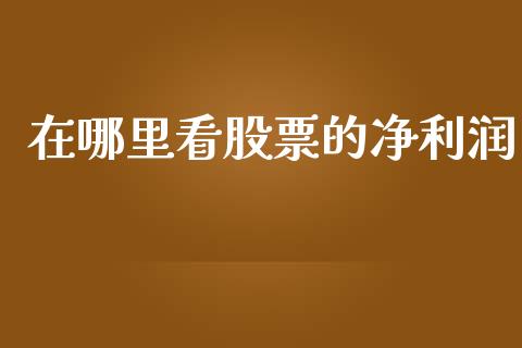 在哪里看股票的净利润_https://www.lcjysmgs.com_恒生指数直播_第1张